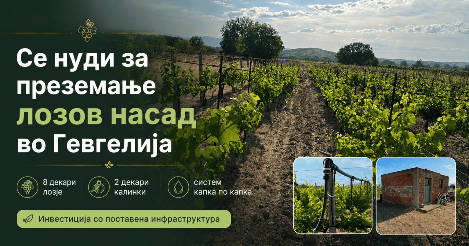 Се нуди за преземање лозов и овошен насад во Гевгелија
